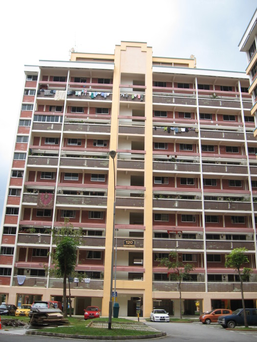 Blk 120 Teck Whye Lane (Choa Chu Kang), HDB Executive #155752